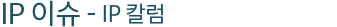 IP 칼럼